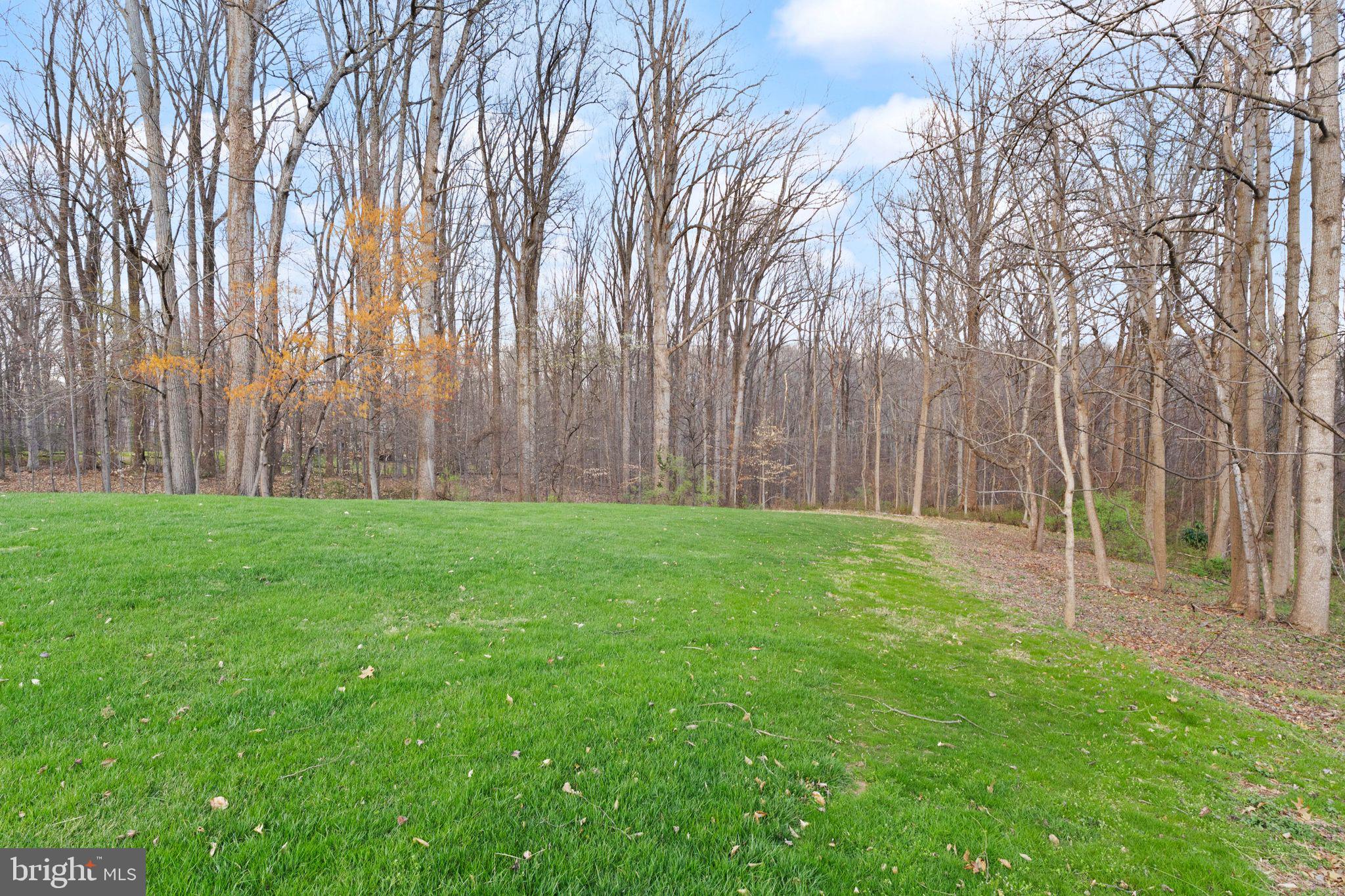 12300 Castle Branch Road Fairfax, VA 22030 - Photo 77 of 87