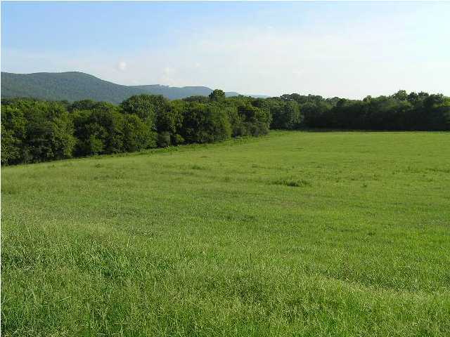 106 Valley Road Dunlap, TN 37327 - Photo 9 of 9 Additional Photo