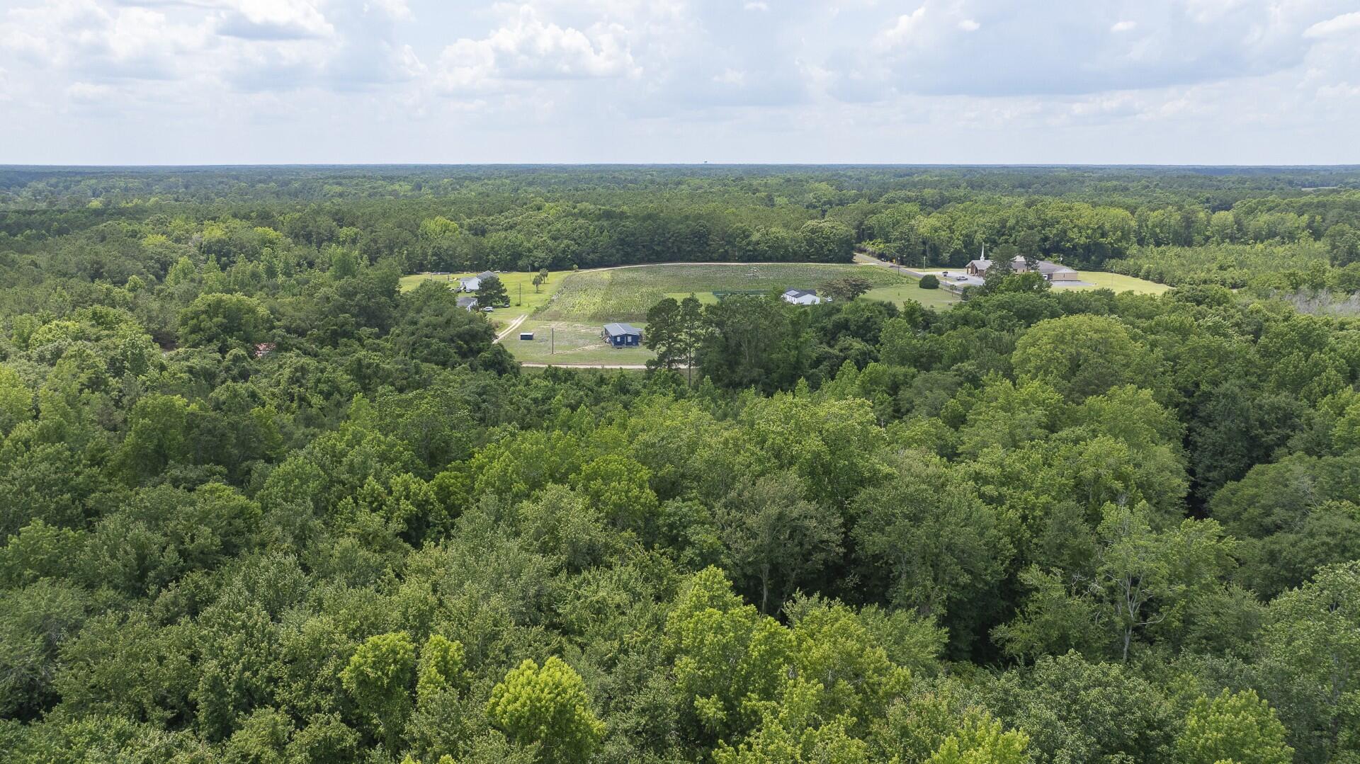2 Joseph Lemon And Dingle Road Manning, SC 29102 - Photo 24 of 44