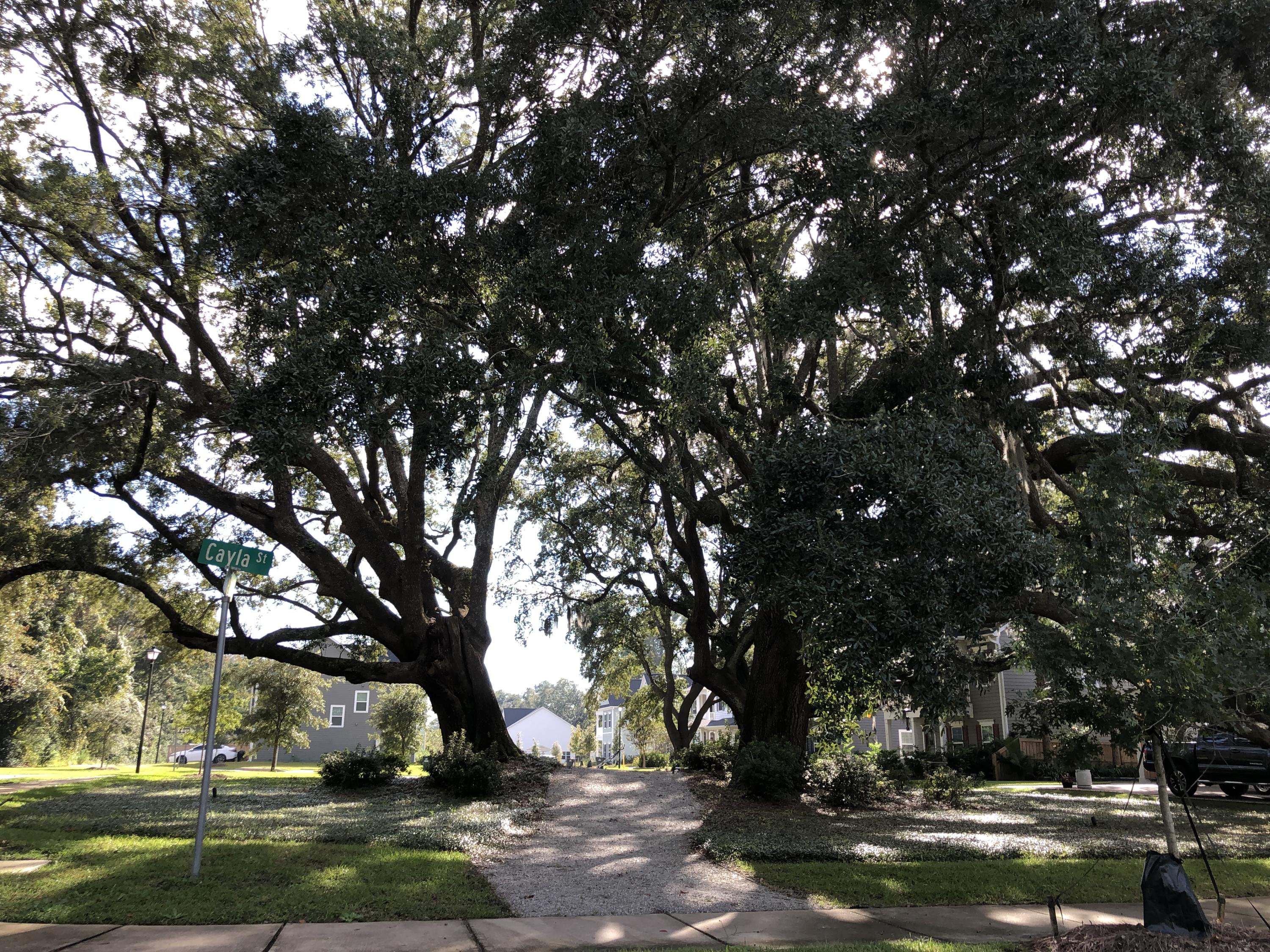 1704 Emmets Road Johns Island, SC 29455 - Photo 41 of 44 Grand Oaks at Entrance