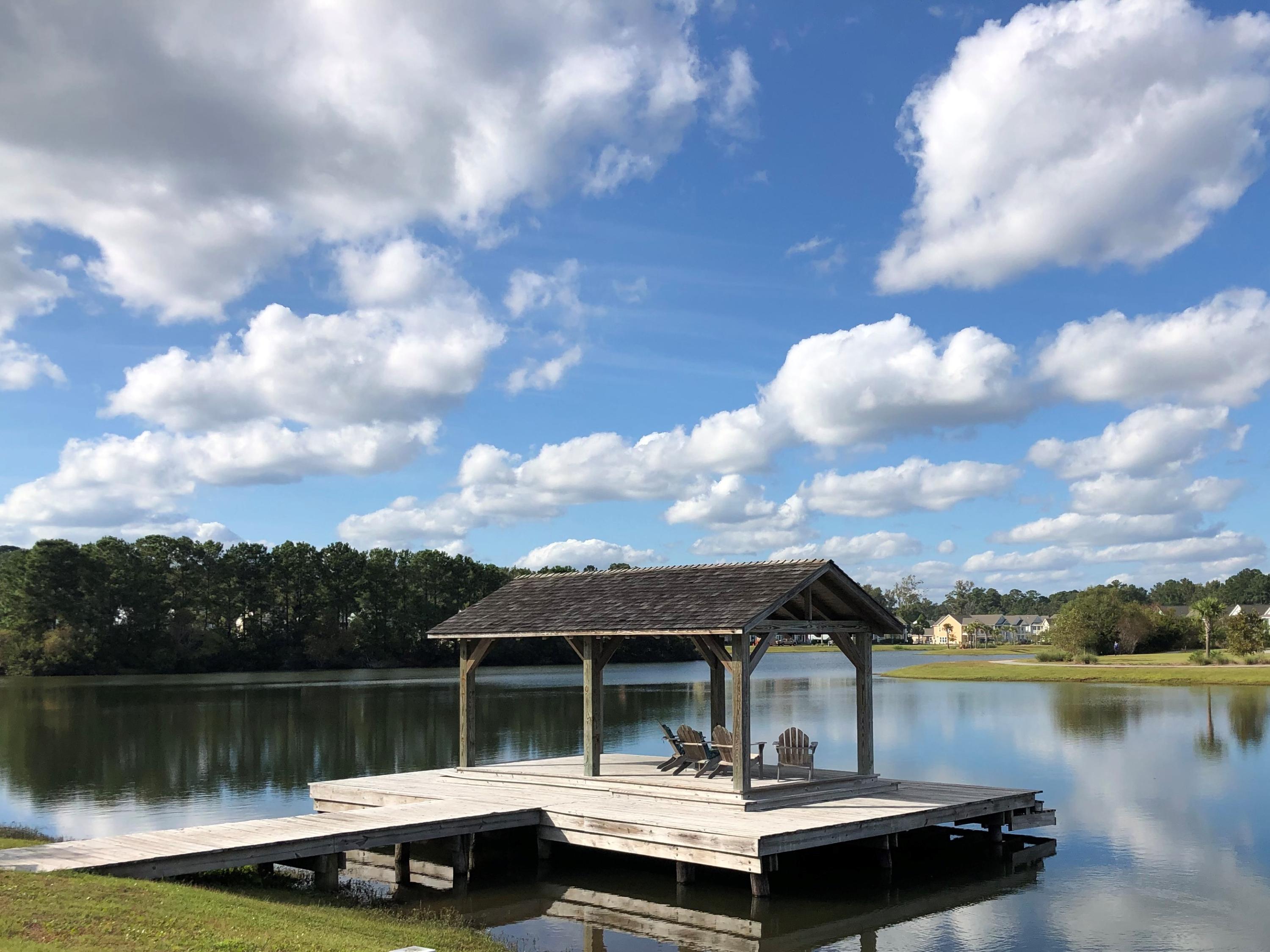 1704 Emmets Road Johns Island, SC 29455 - Photo 43 of 44 Whitney Lake