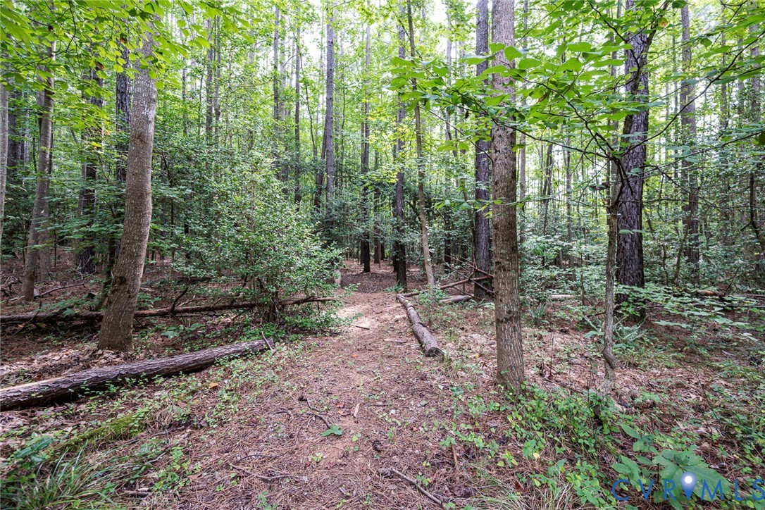 19151 Poor House Road Amelia Court House, VA 23002 - Photo 31 of 39 Wooded land featuring a natural path, mature trees