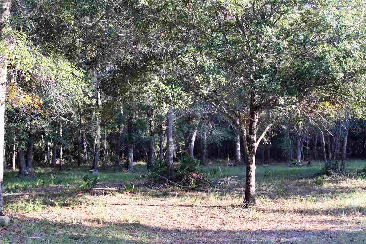 59 Bottoms Road Panacea, FL 32346 - Photo 12 of 12 Gallery Image 12