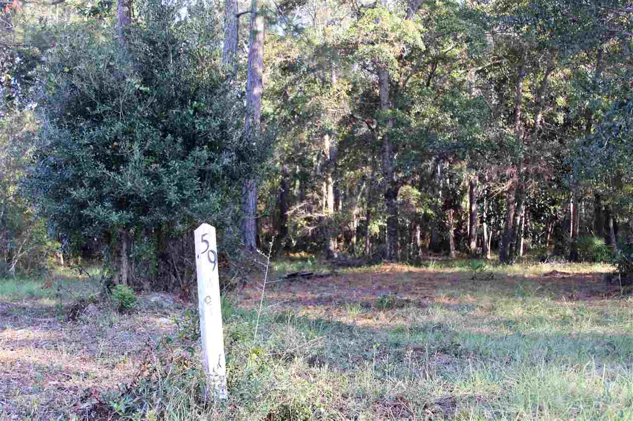 59 Bottoms Road Panacea, FL 32346 - Photo 3 of 12 Gallery Image 3