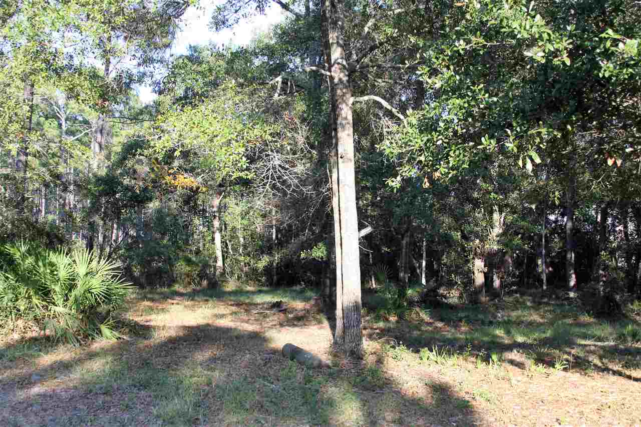 59 Bottoms Road Panacea, FL 32346 - Photo 4 of 12 Gallery Image 4