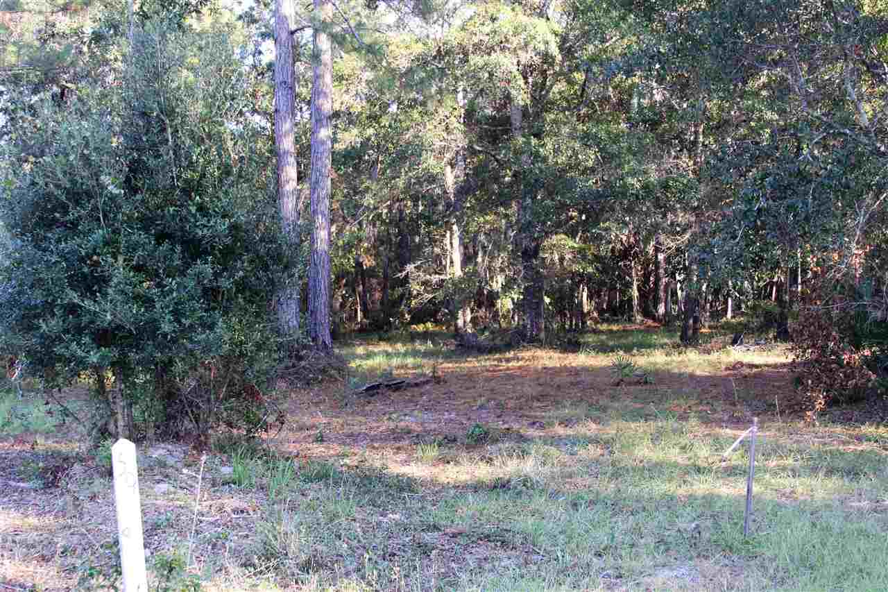 59 Bottoms Road Panacea, FL 32346 - Photo 6 of 12 Gallery Image 6