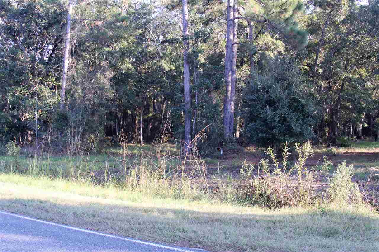 59 Bottoms Road Panacea, FL 32346 - Photo 7 of 12 Gallery Image 7