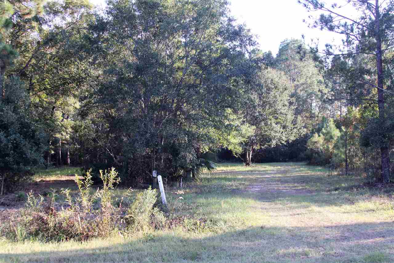 59 Bottoms Road Panacea, FL 32346 - Photo 8 of 12 Gallery Image 8