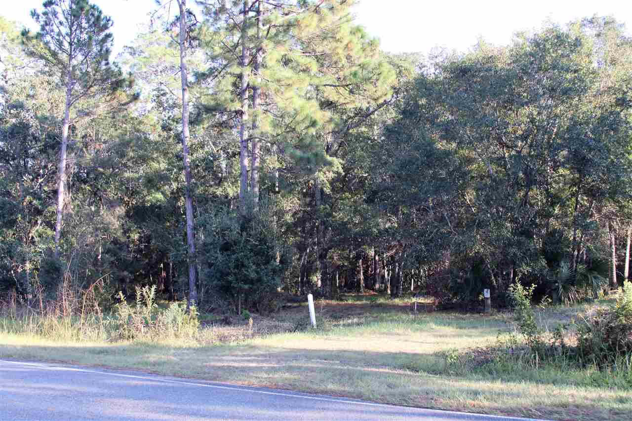 59 Bottoms Road Panacea, FL 32346 - Photo 9 of 12 Gallery Image 9