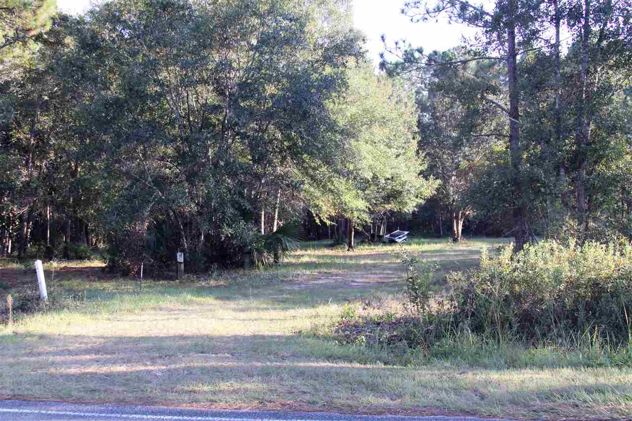 59 Bottoms Road Panacea, FL 32346 - Photo 10 of 12 Gallery Image 10