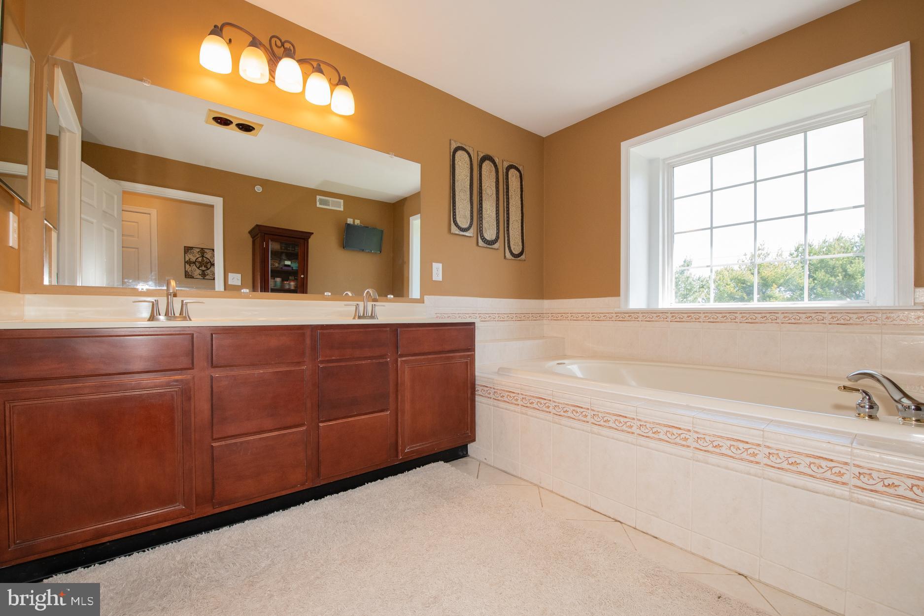 2155 Brookshire Road Furlong, PA 18925 - Photo 26 of 40 Master Bathroom