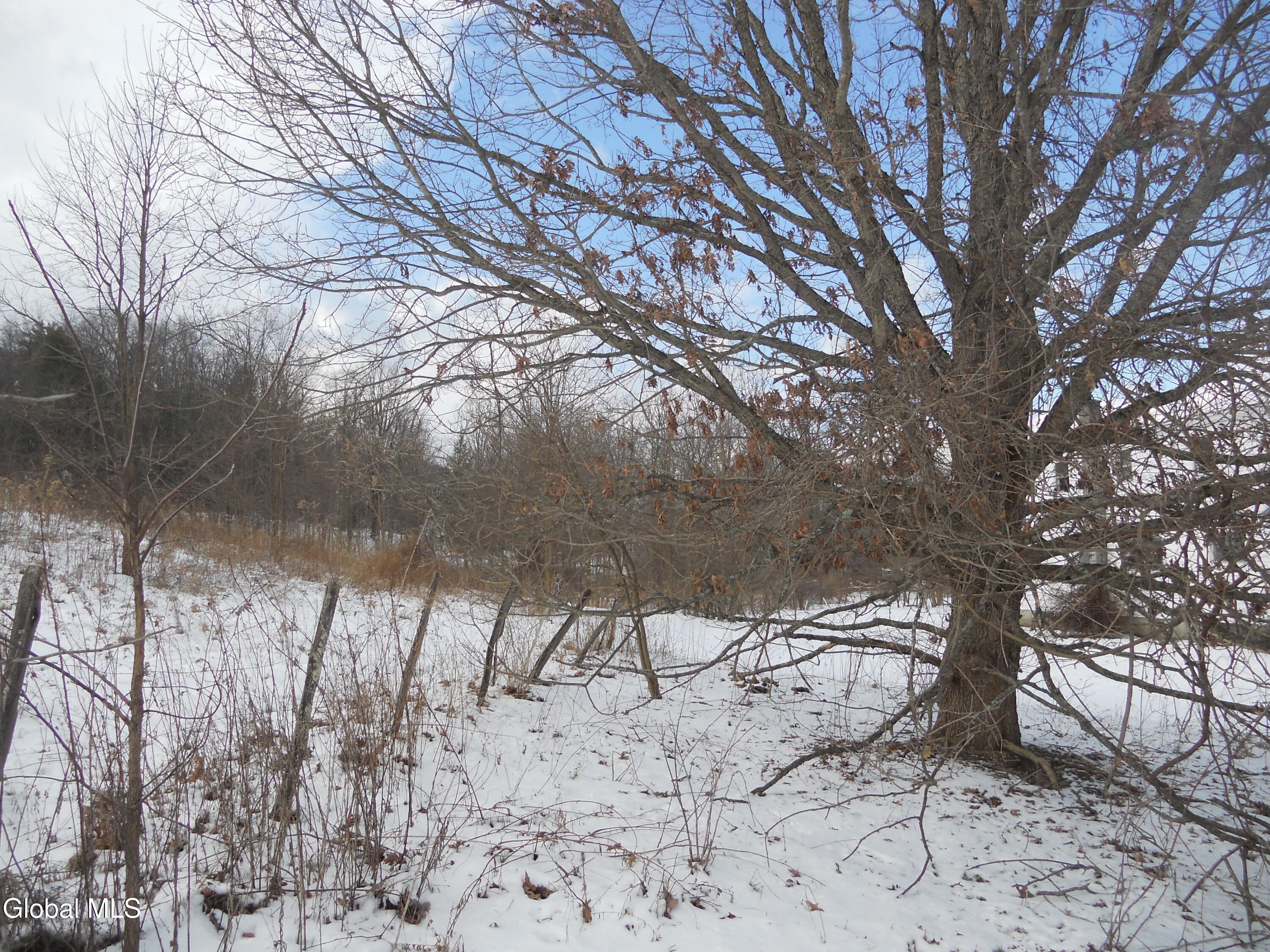 90 Tomhannock Road Valley Falls, NY 12185 - Photo 6 of 37 yard view