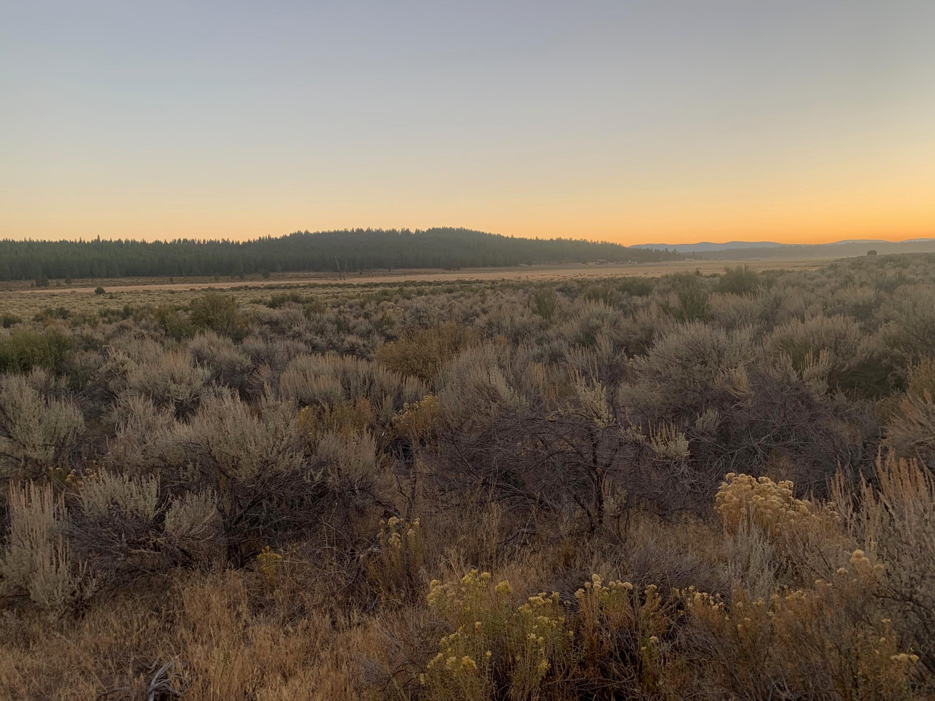 800 Godowa Springs Road Beatty, OR 97621 - Photo 7 of 11 IMG-5228