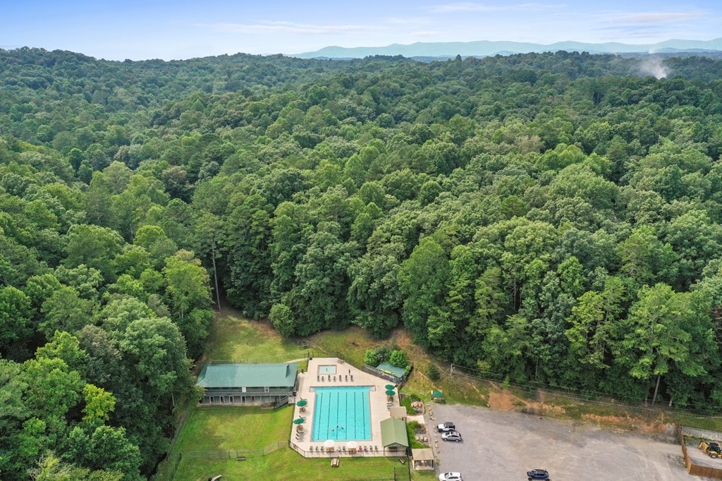 96 Holiday Court Ellijay, GA 30540 - Photo 43 of 51 an aerial view of a house with a yard