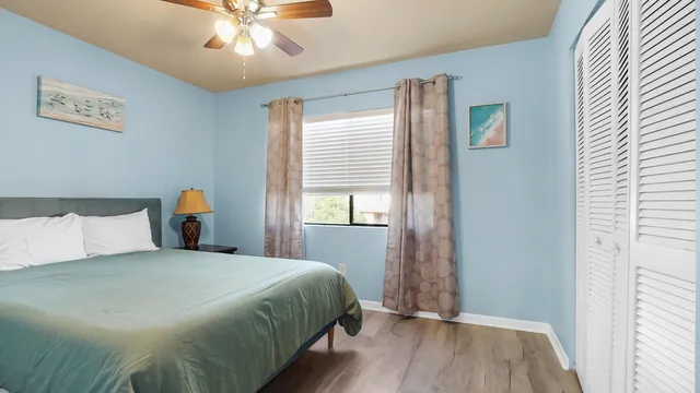 a view of a palm tree from a balcony