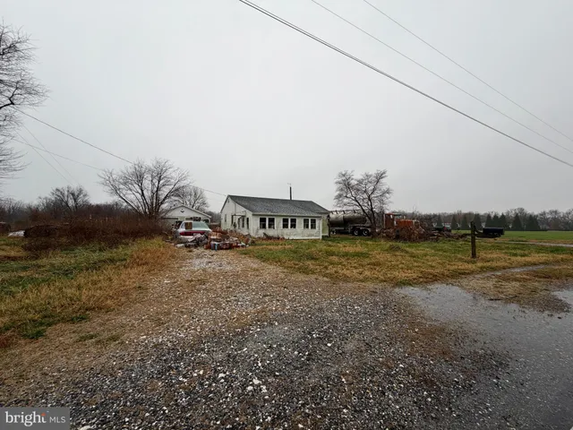 a view of a field with an trees