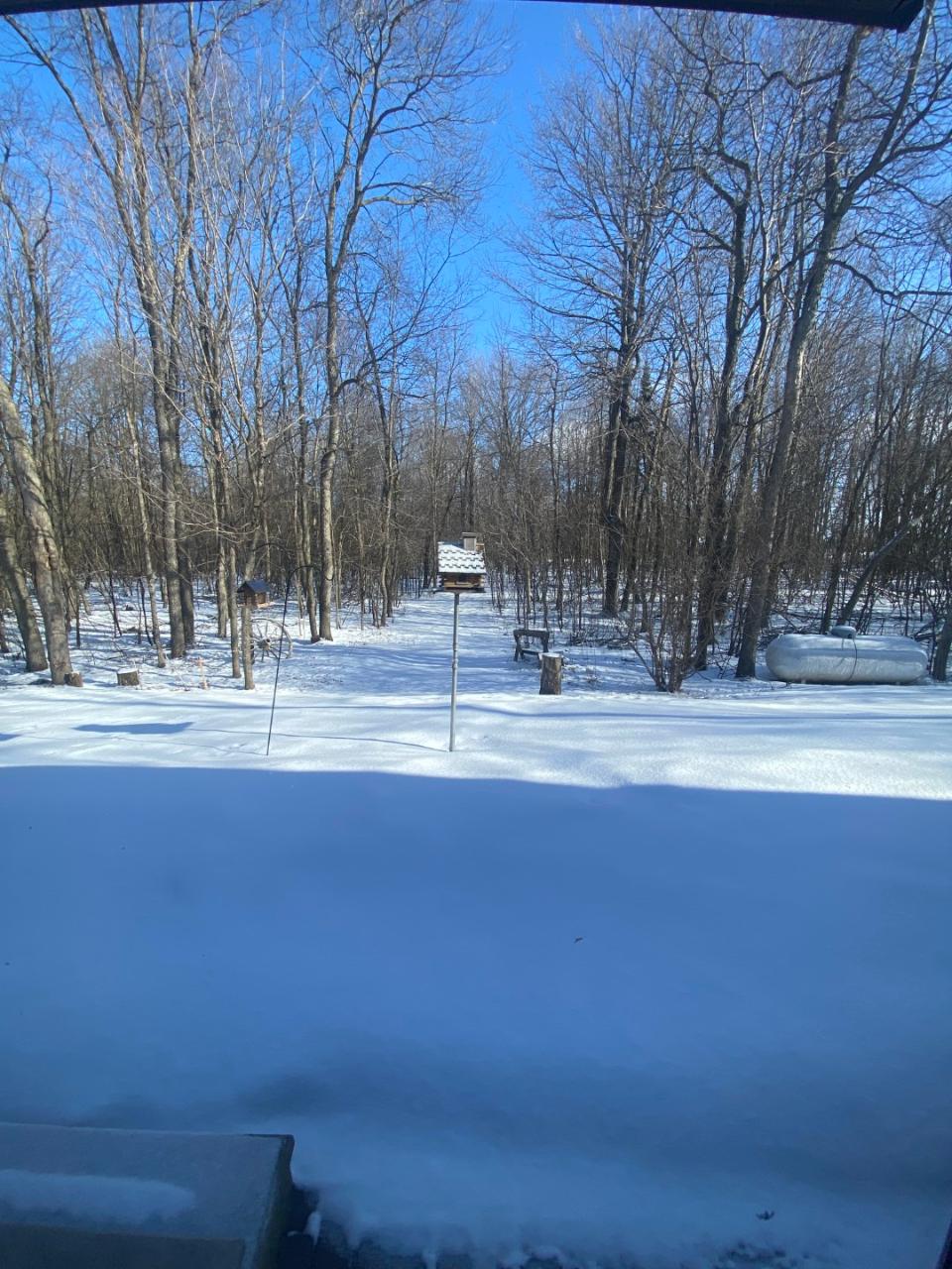 N4604 Carter Road Bryant, WI 54418 - Photo 19 of 31 Gallery Image 19
