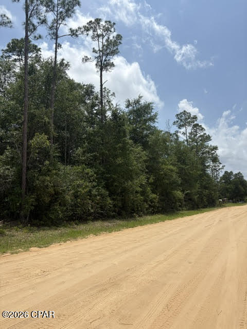 0 Forest Glen Road Fountain, FL 32438 - Photo 3 of 8