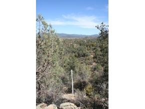 2129 Forest Mountain Road Prescott, AZ 86303 - Photo 8 of 11 Additional Photo