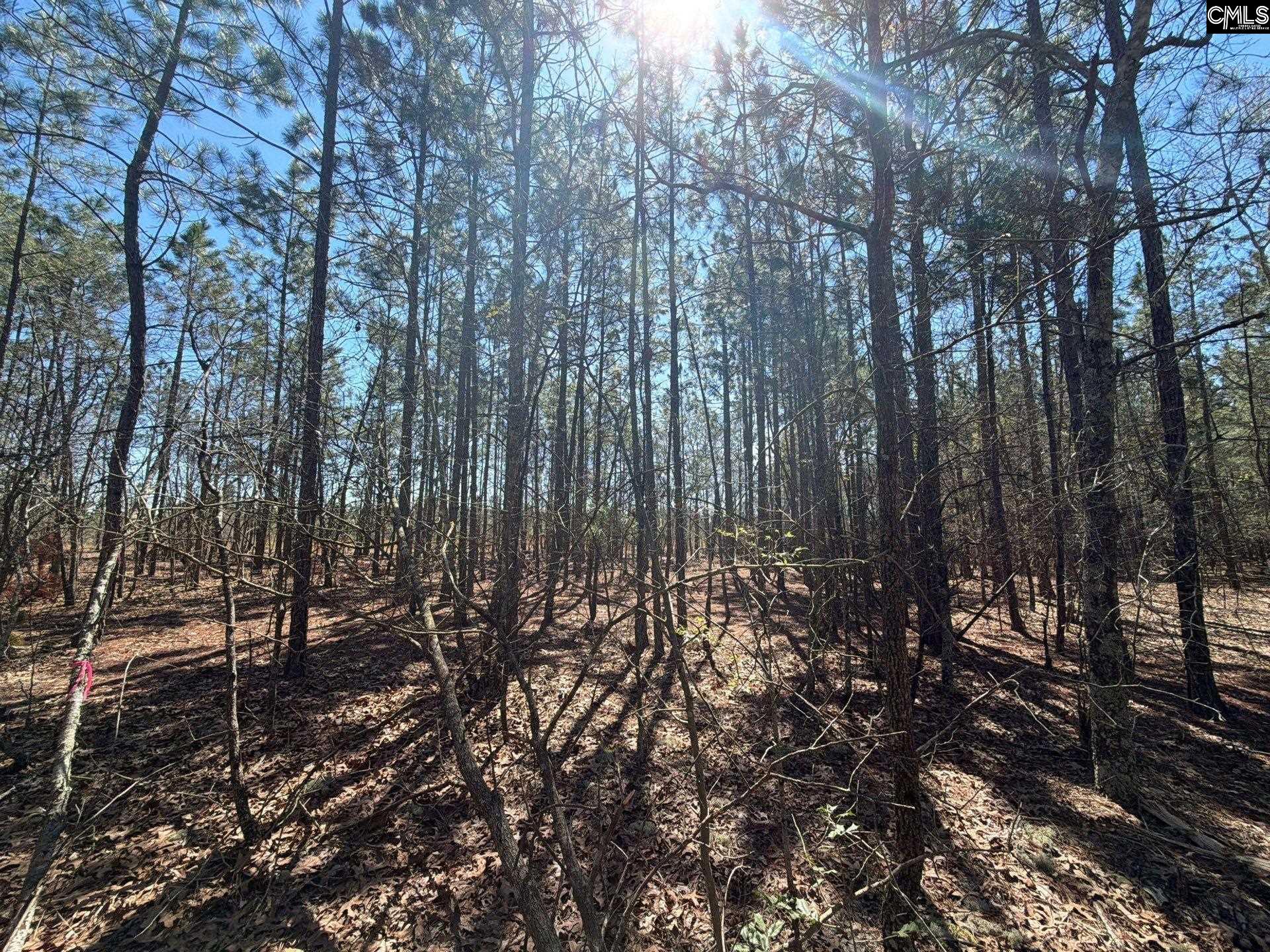 10 Boise Cascade Road, Unit BHL 10 Bethune, SC 29009 - Photo 20 of 24
