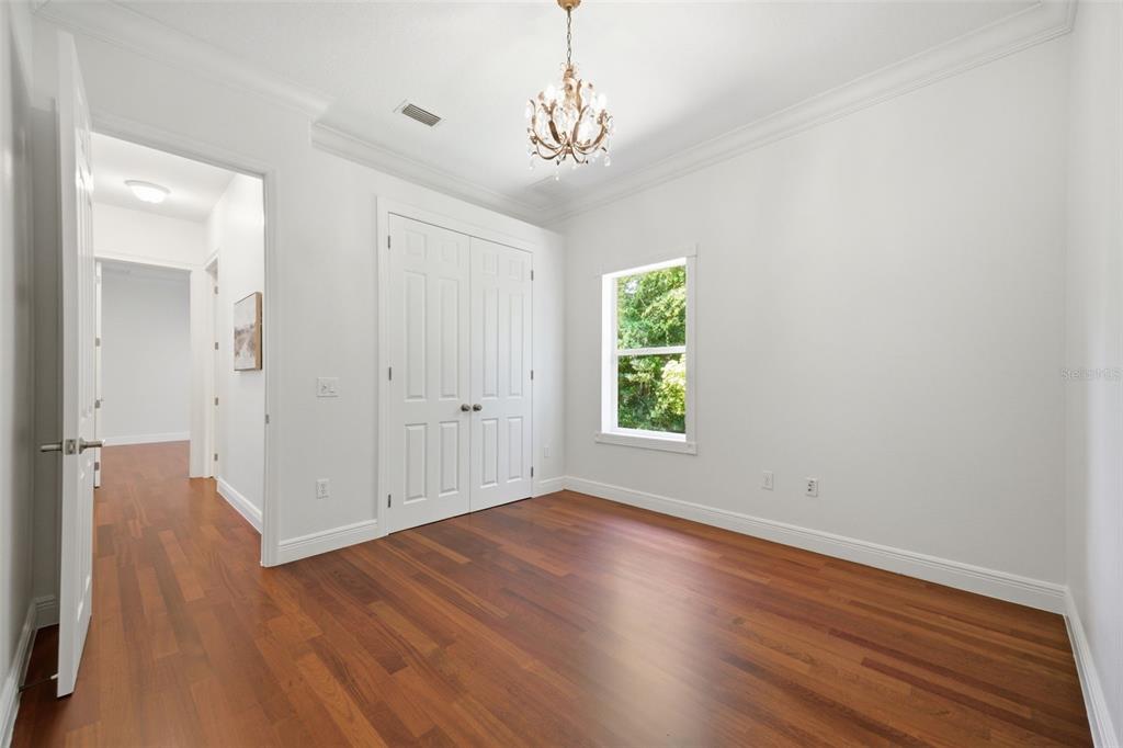 9409 Tree Tops Lake Road Tampa, FL 33626 - Photo 45 of 97