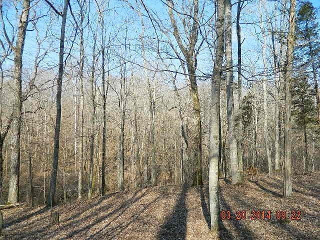 820 New Fox Road Irvine, KY 40336 - Photo 45 of 64 Photo 45