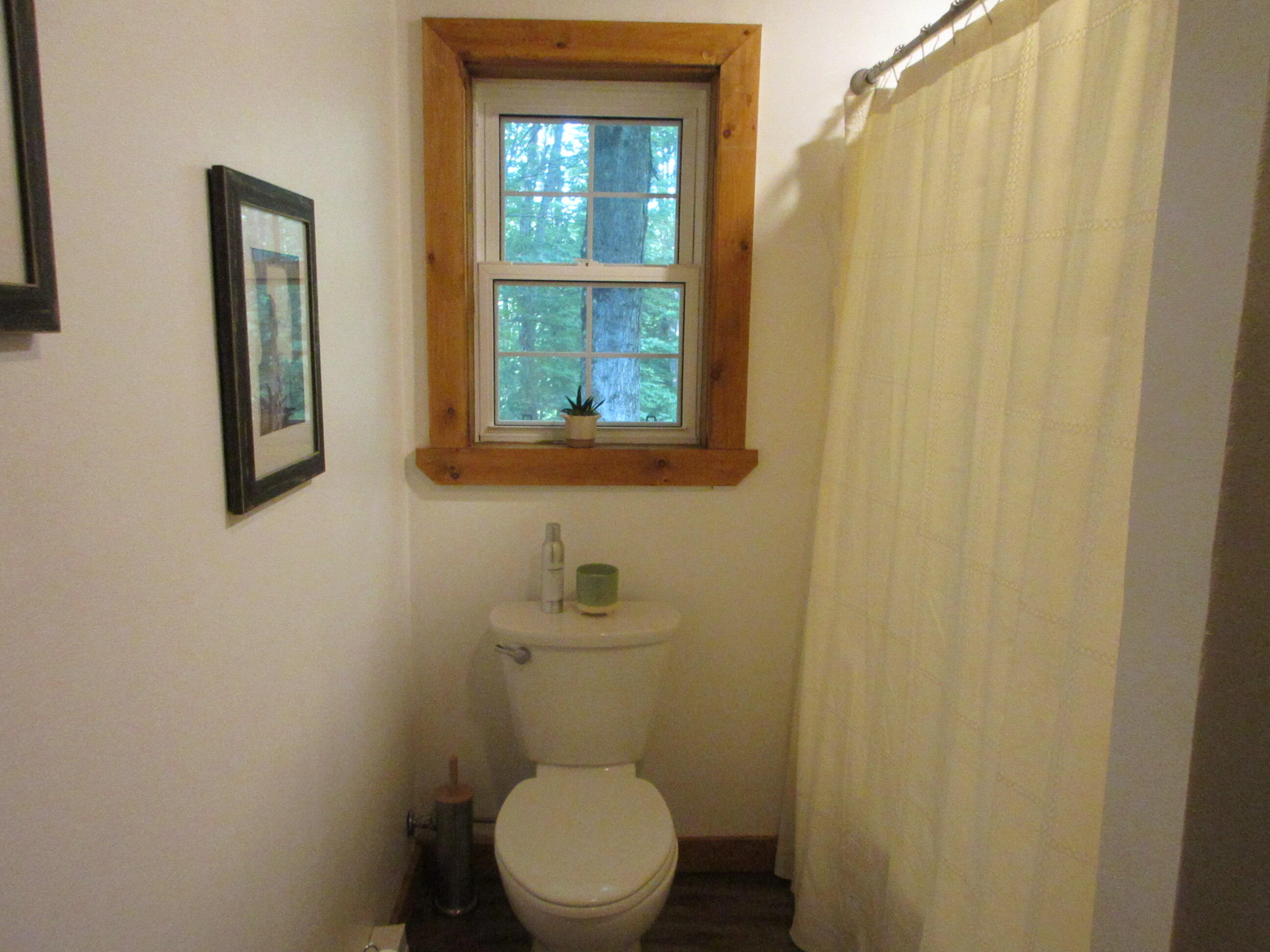 855 Bridgton Road Sebago, ME 04029 - Photo 32 of 60 IMG_0242