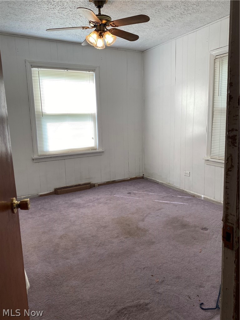 5317 North Ridge Road West Ashtabula, OH 44004 - Photo 3 of 12