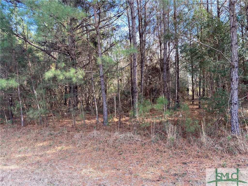 1883 Courthouse Road, Unit LOT 4 Guyton, GA 31312 - Photo 1 of 2