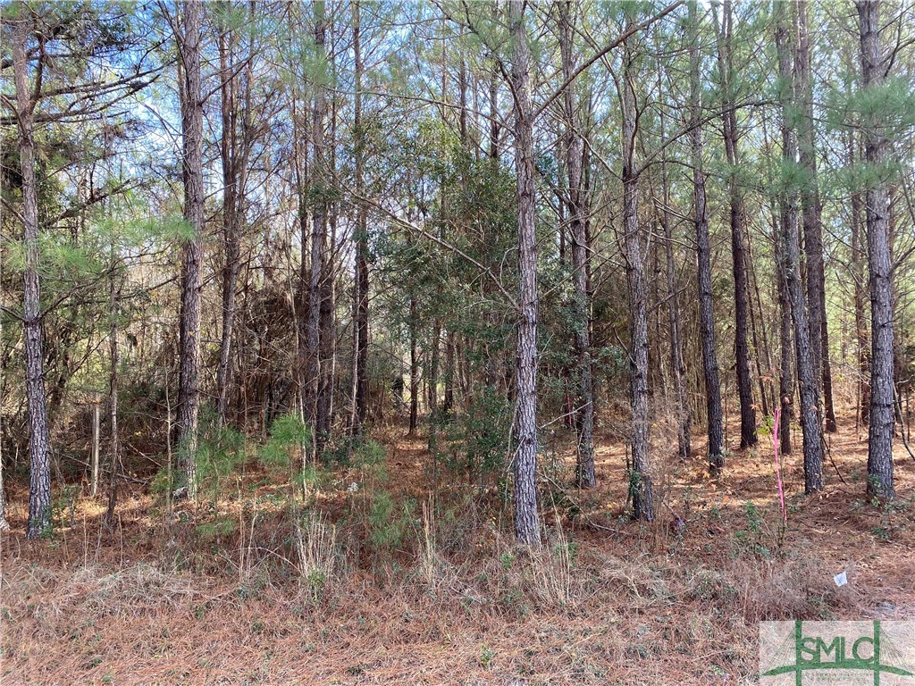 1883 Courthouse Road, Unit LOT 4 Guyton, GA 31312 - Photo 2 of 2
