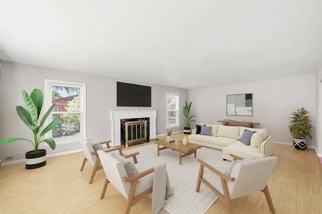 a living room with furniture a fireplace and a potted plant