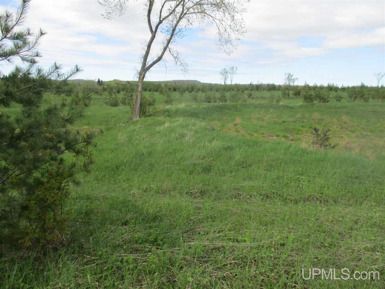 Tbd Tbd Harden Road Mass City, MI 49948 - Photo 6 of 8