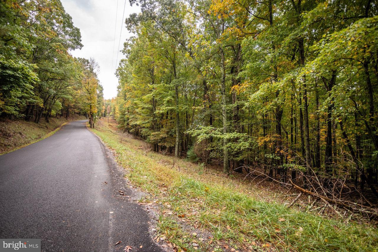 0 Dry Run Road Sugar Grove, WV 26815 - Photo 10 of 34