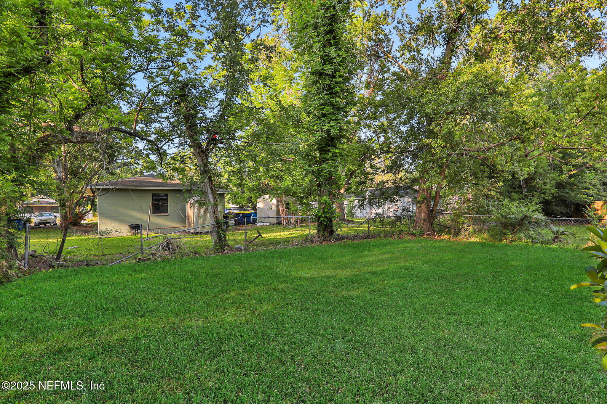 2122 Brooklyn Road Jacksonville, FL 32209 - Photo 19 of 19 a view of a trees in front of a house