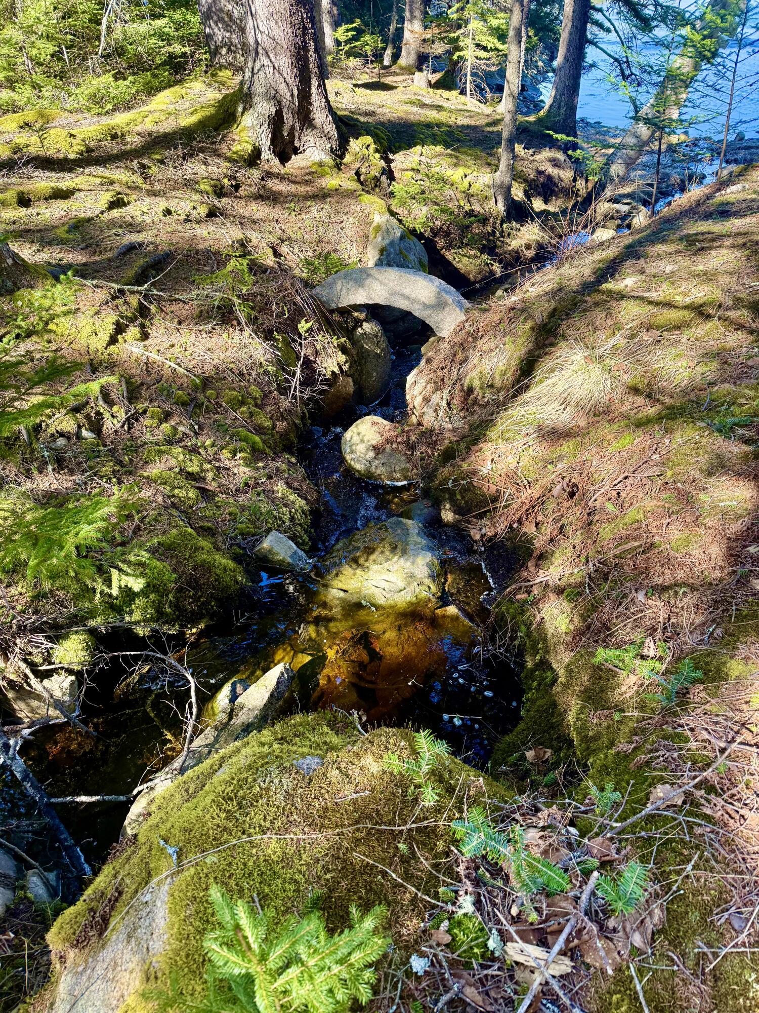 26 Hamilton Drive Vinalhaven, ME 04863 - Photo 34 of 35 IMG_9887