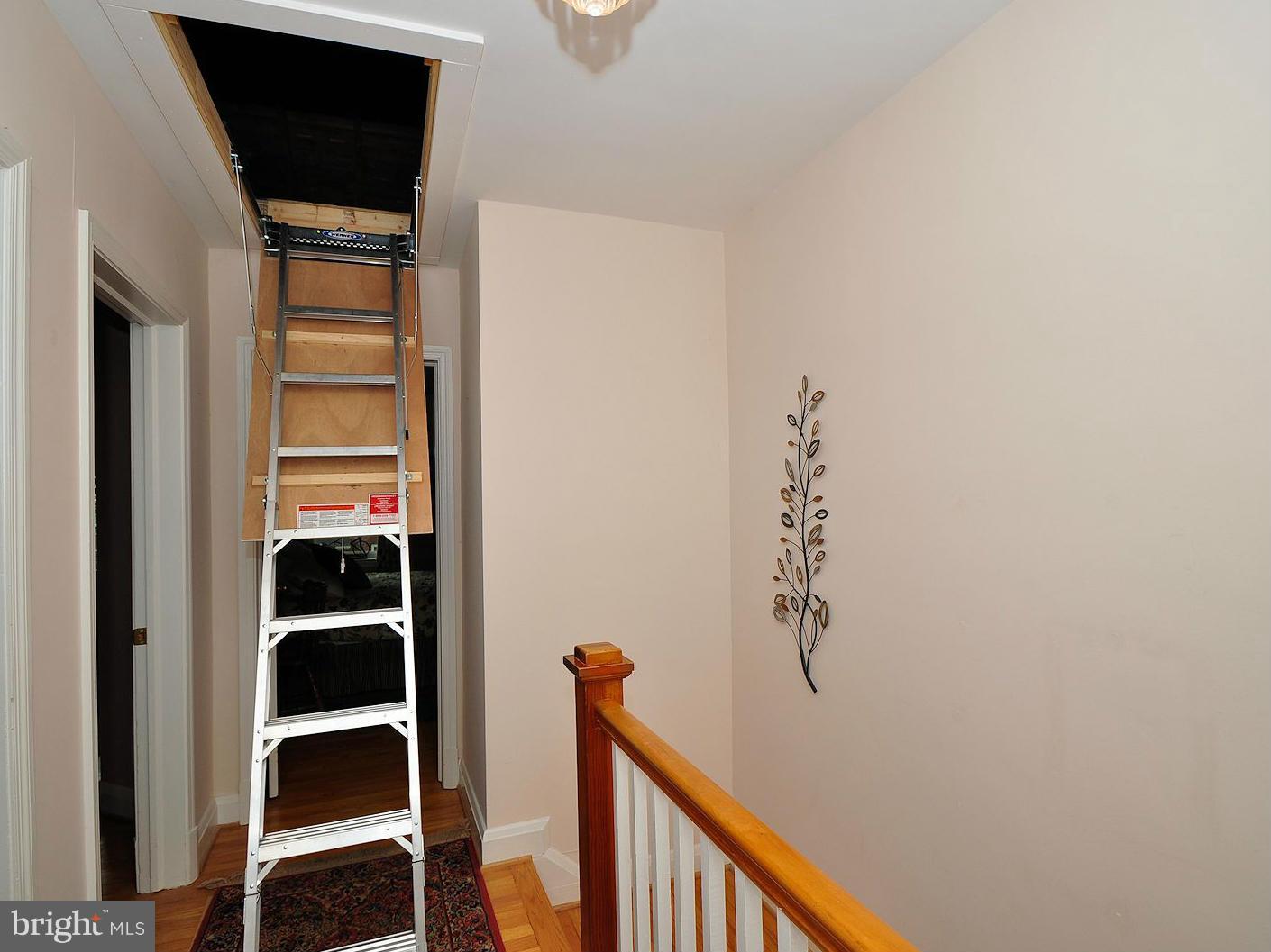 104 Overbrook Road Baltimore, MD 21212 - Photo 20 of 27 a view of a walk in closet
