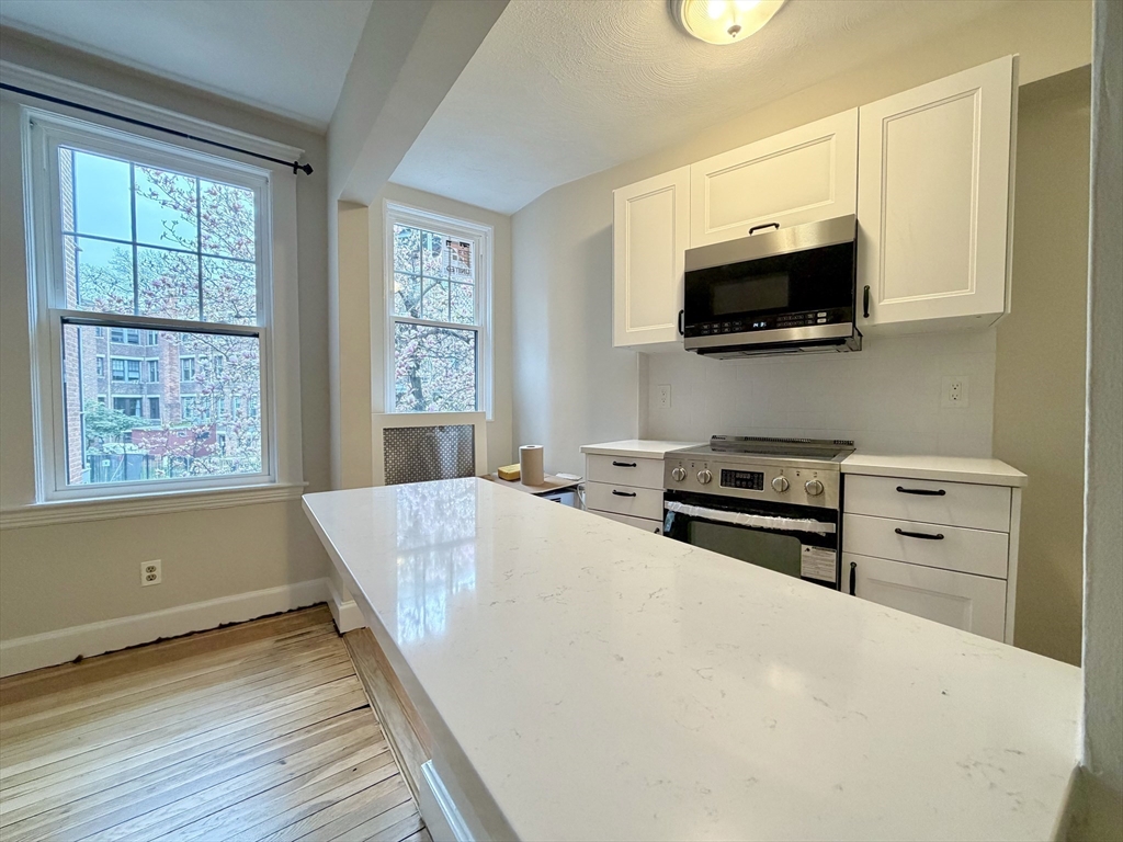 110 Lanark Road, Unit 8 Boston, MA 02135 - Photo 7 of 20