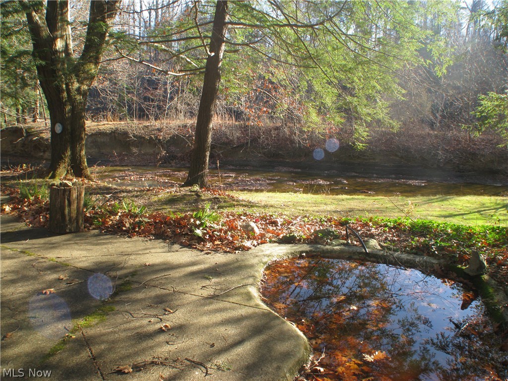 6921 Morley Road Painesville, OH 44077 - Photo 16 of 17 Back yard view from patio