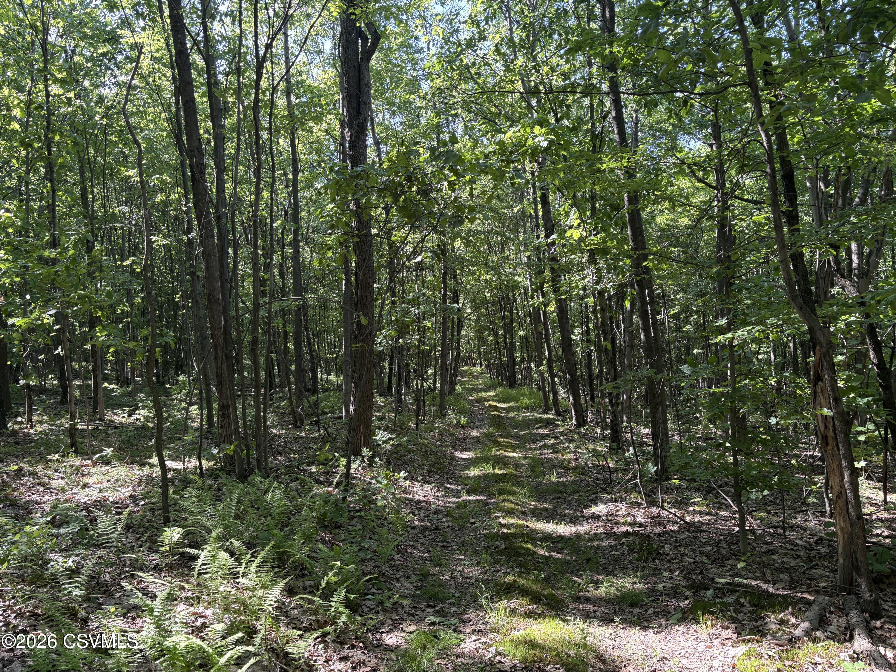 380 Too Steep Road Watsontown, PA 17777 - Photo 17 of 20