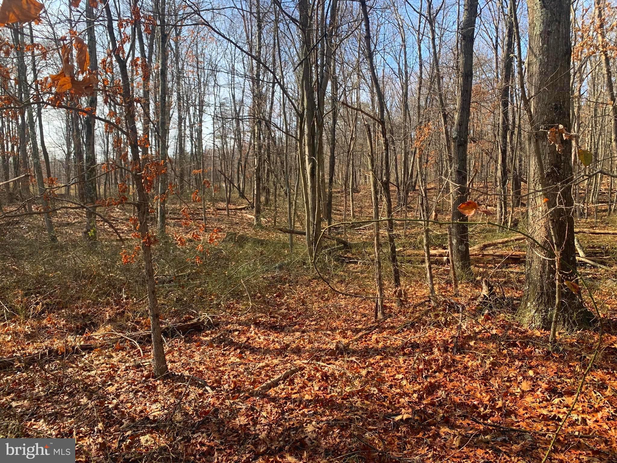 Lot 18 Sleepywoods Road Cross Junction, VA 22625 - Photo 1 of 10 Welcome to Sleepywoods Rd Lot 18 5.05 acres