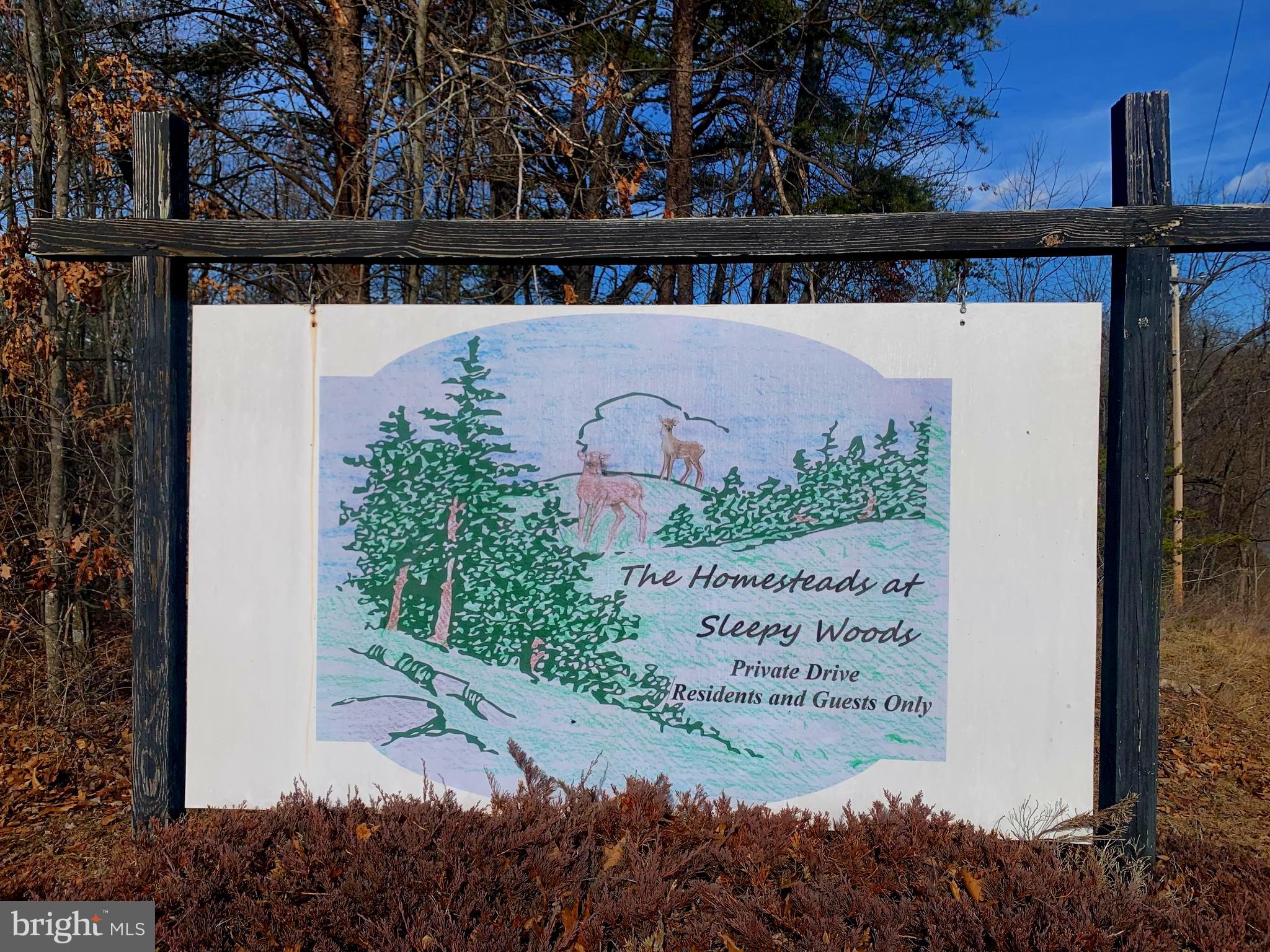 Lot 18 Sleepywoods Road Cross Junction, VA 22625 - Photo 3 of 10 The entrance