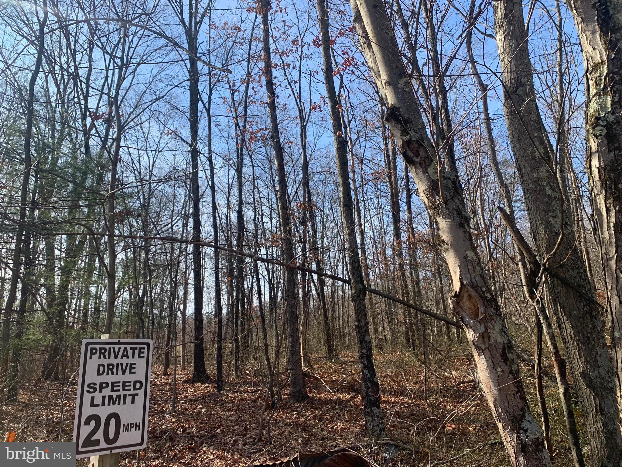 Lot 18 Sleepywoods Road Cross Junction, VA 22625 - Photo 4 of 10 Gallery Image 4