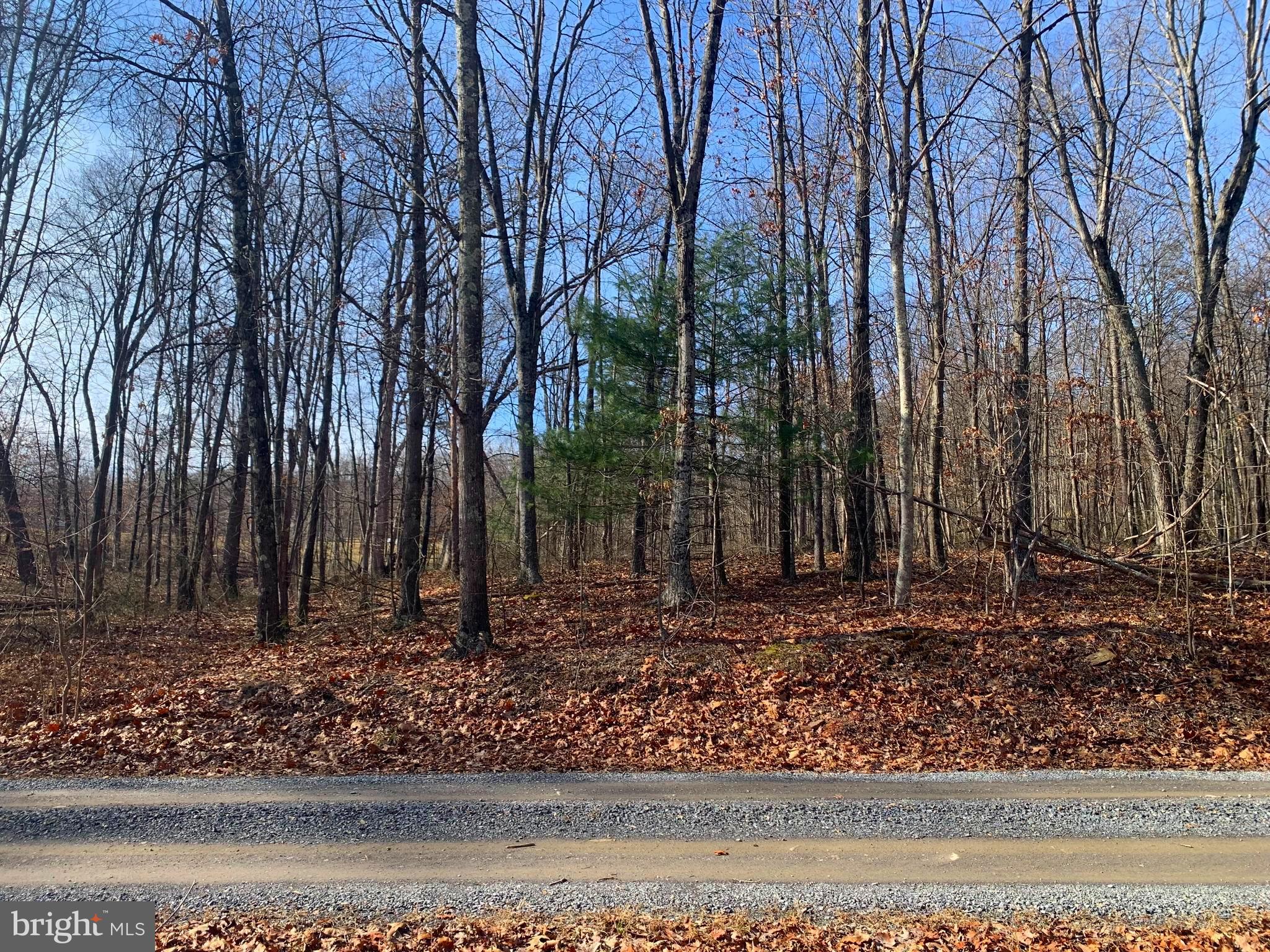 Lot 18 Sleepywoods Road Cross Junction, VA 22625 - Photo 5 of 10 Gallery Image 5