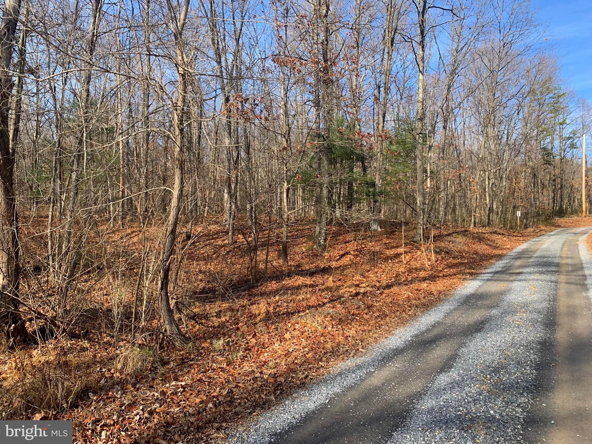 Lot 18 Sleepywoods Road Cross Junction, VA 22625 - Photo 6 of 10 Gallery Image 6