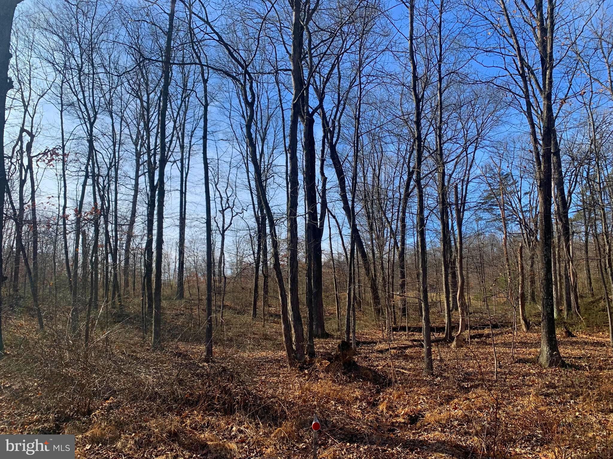 Lot 18 Sleepywoods Road Cross Junction, VA 22625 - Photo 7 of 10 Gallery Image 7