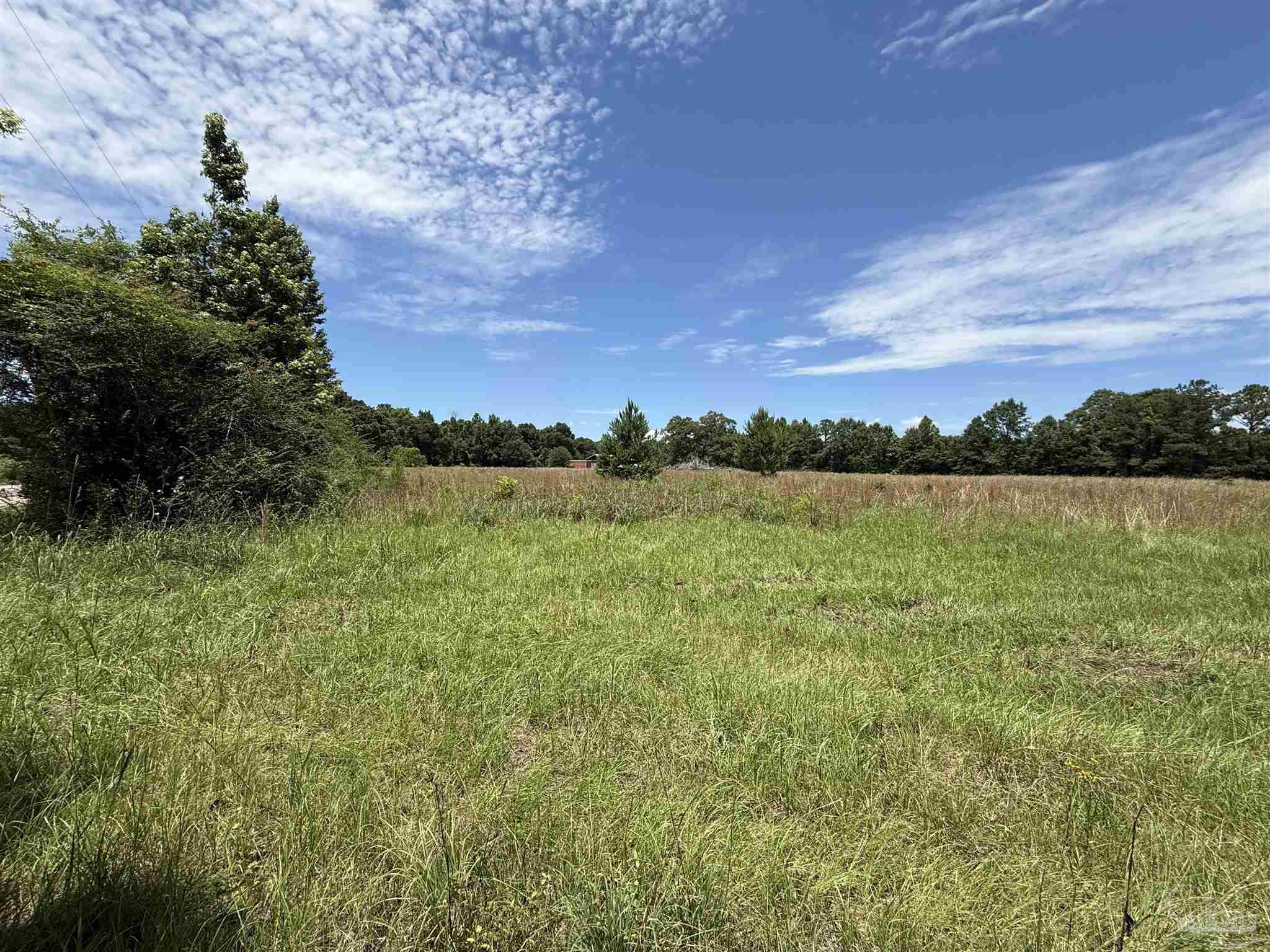 296 Salters Lake Road Century, FL 32535 - Photo 9 of 34