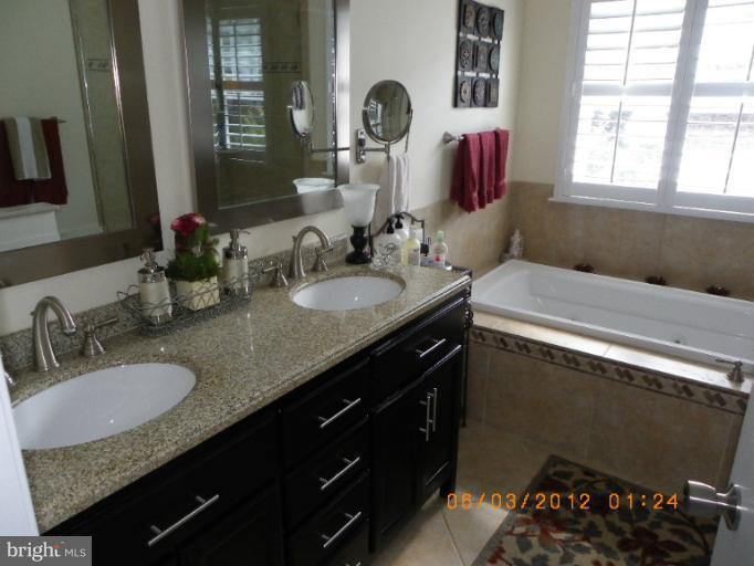 16429 Old Frederick Road Mount Airy, MD 21771 - Photo 13 of 21 Bath (Master)