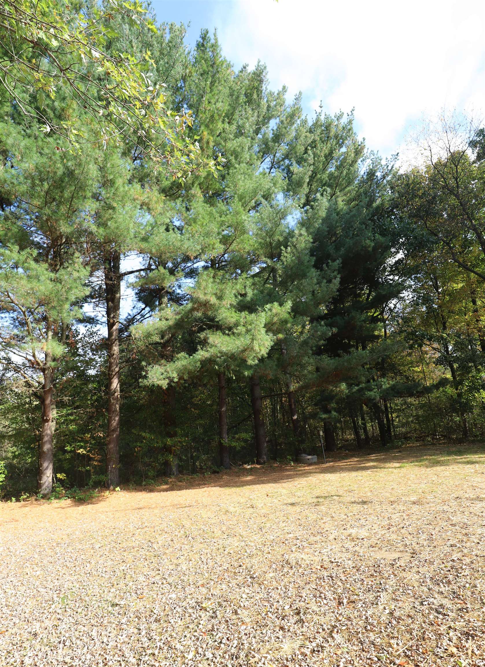 10008 Coldwater Road Flushing, MI 48433 - Photo 28 of 32