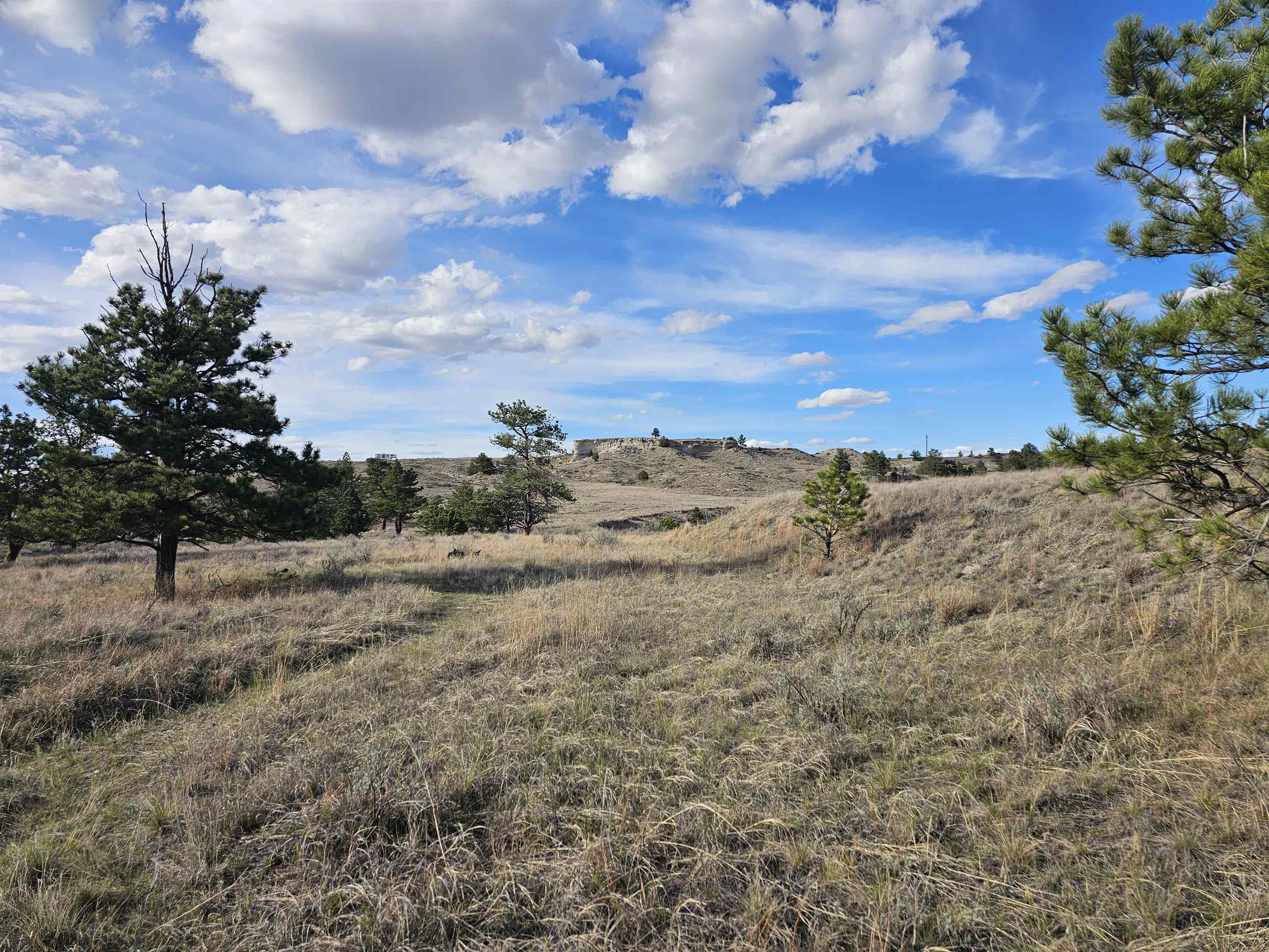 52 Wendover Road Guernsey, WY 82214 - Photo 20 of 42