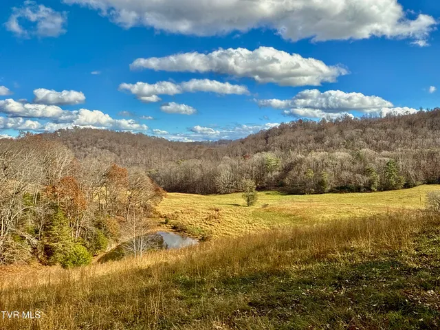 $899,900 | 1520 Brittontown Road, Afton, TN 37616